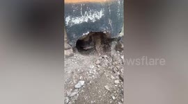 Firefighter save kitten trapped in narrow pipe in Indonesia