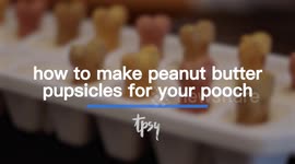 These Peanut Butter Pops Are Perfect For Your Dog, No Matter What The Temperature Is