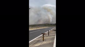 Forest fires erupt in Chile