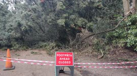 South London footpath still blocked by giant fallen tree after Storm Eunice