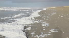 Sea foam from Storm Franklin washes up on beach in the Netherlands
