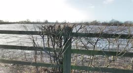 Water comes the wrong way out of a drain as flooded fields pour into road