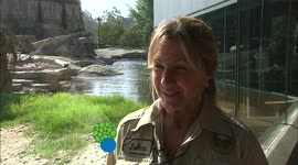 The San Diego Zoo Has an Arctic Ambassador That Plays a Very Important Role