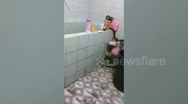 Terrified mother finds huge snake rampaging through bathroom