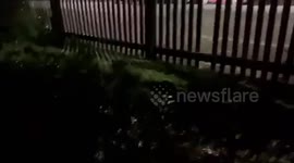 New Zealand police scream