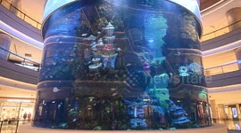 Asia's Largest Indoor Cylindrical Aquarium In Chongqing, China