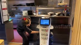 Cat-like robot waiter entertains customers at Japanese restaurant in Scotland