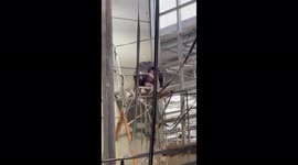 Naughty Monkey Business!!