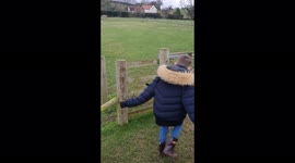 Really playful goat running and jumping with my son