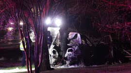 Car crashes into tree and bursts into flames in West Houston, Texas