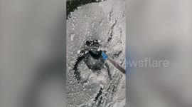 UK artist transforms abandoned shop windows into pieces of art to raise awareness for mental health