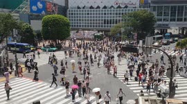 Shibuya scramble crossing