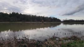 Seattle slammed and flooded by record rain
