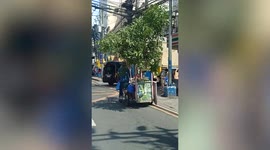 Mango vendor carries whole tree on mobile food cart