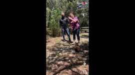 ''The Start to Our Forever!' Adorable couple gets engaged after VALIANTLY steering through hard times '
