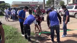 Buffalo calf rescued after spending five days trapped in sewer