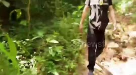 Five German tourists rescued after getting lost in Thai jungle
