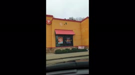 A live chicken at a Popeyes chicken restaurant