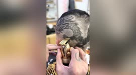 Hairdresser shaves detailed dragon pattern into customer’s hair in China