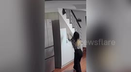 Pet owner manages to catch kitten that mother cat drops down stairs