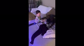 Toddler and dog play tug of war with a rope toy, both of them having as much fun as each other!