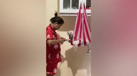 Pet owner uses hammock for clever hack to cut pet dog's nails