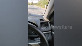 Terrified driver finds green snake slithering inside her car