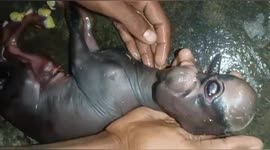 A Goat has born an antics one eye baby in Northern India