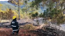 Forest fire in the Philippines destroys 100 hectares of woodland