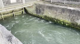 The Locks at Iffley on the river Thames Oxford England United Kingdom