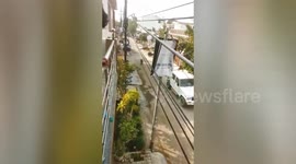 Watch -  Leopard which enters a house in Merrut breaks the trap and runs among crowd on road , rescued after 9 hours