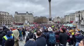 Protesters gather in Trafalgar Square in solidarity with Ukraine