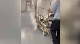 Hospital porter uses his beautiful voice to