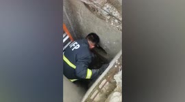 Kind firemen rescue blind stray dog stuck in manhole