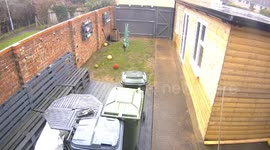 UK dognappers pretend to stroke a woman’s dog before stealing it