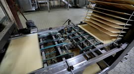 Palestinian women work in a biscuit factory on the traditional women's day