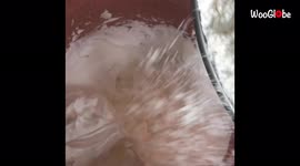 ''Whole lot of sprinkles and love!' Baker pulls the curtain back on the art of decorating delicious treats'