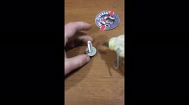 lifehack diy