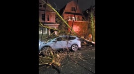 Downed trees wreak havoc in Brooklyn during severe, thunder-filled storm