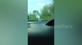 Driver comes face-to-face with wild elephant on road in Thailand