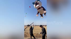 Giant cat-shaped kite seen flying in sky above eastern China
