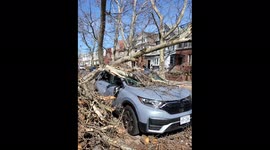Wind storm in New York leaves damage from trees and power lines downed