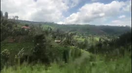 This was taken on a roadtrip on the upcountry side o Meru, Kenya. Meru is near the slopes of Mt. Kenya