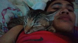 Cat sleeps and grooming itself beside the owners face.
