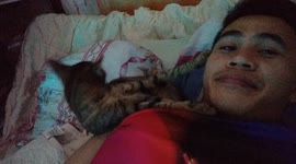 Cat sleeps and grooming itself beside the owners face.