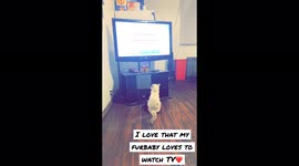 This is my cat he’s my fur baby and his name is Derek and he’s got a passion