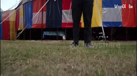 'Fearless circus duo puts on a hand-to-hand acrobatics act while STANDING on someone's SHOULDERS! 
'