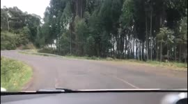 The twists and turns of the Meru-Maua highway dashcam video.