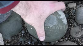 TikTok creator shows how a crab got trapped in a rock for millions of years until it was released using an air scribe