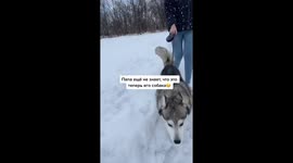 Daughter gave her father a dog